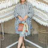 The Lucy Striped Button-Up Dress