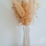 Champagne Flutes
