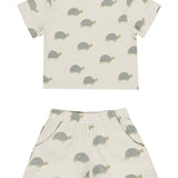 Play Set - Sea Turtles