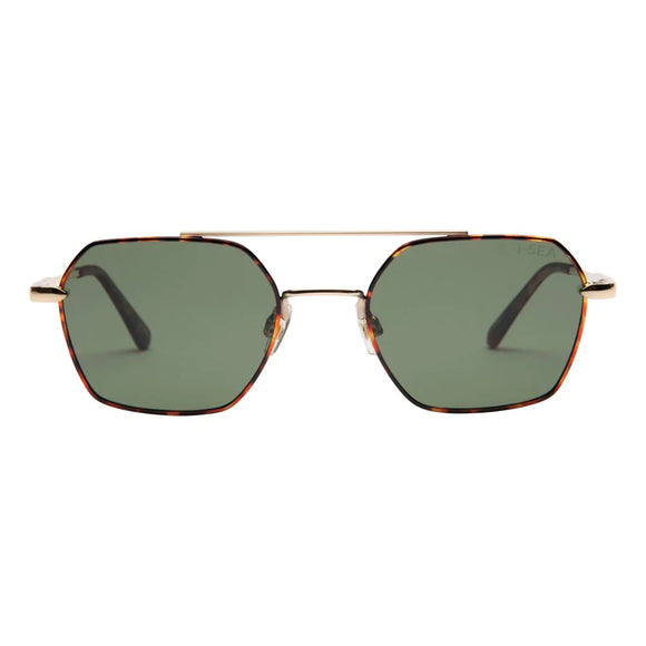 Sara Polarized Sunglasses - Tortoise Olive