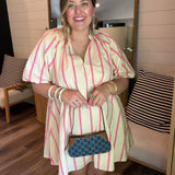Bayside Stripe Mini Dress - Pink