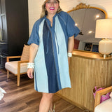 Blue Ridge Belle Denim Mini Dress