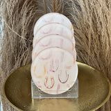 Lucky You Coaster - Individual Coaster