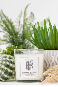 Joshua Tree Candle 12oz