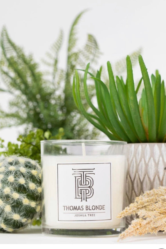 Joshua Tree Candle 12oz